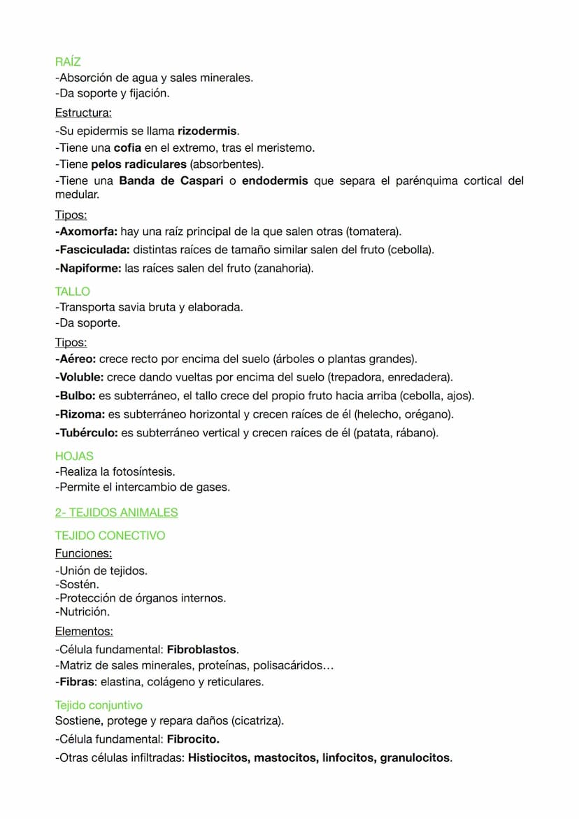 EXAMEN BIOLOGIA 9
EVOLUCIÓN ORGANISMOS CELULARES
Los organismos celulares son células osmotrofas ya que realizan las funciones vitales y
se 