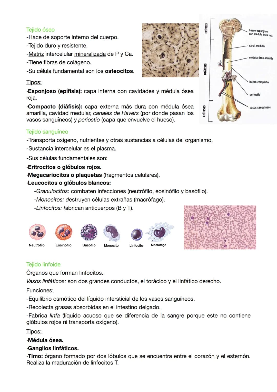 EXAMEN BIOLOGIA 9
EVOLUCIÓN ORGANISMOS CELULARES
Los organismos celulares son células osmotrofas ya que realizan las funciones vitales y
se 
