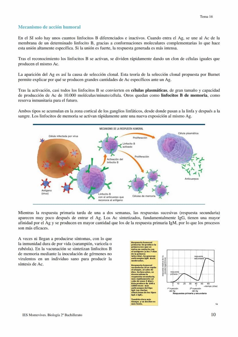 TEMA 16 INMUNOLOGÍA
1.- LA DEFENSA DEL ORGANISMO
Los seres vivos poseen diferentes mecanismos para defenderse de las infecciones con varias 