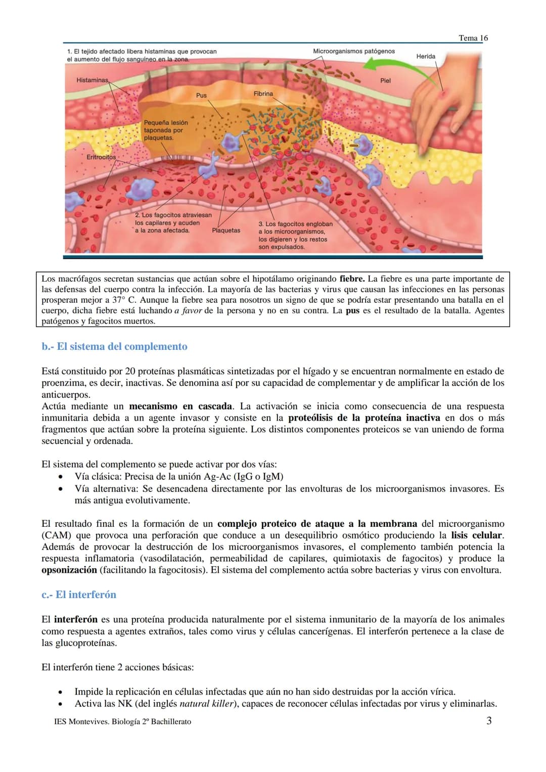 TEMA 16 INMUNOLOGÍA
1.- LA DEFENSA DEL ORGANISMO
Los seres vivos poseen diferentes mecanismos para defenderse de las infecciones con varias 