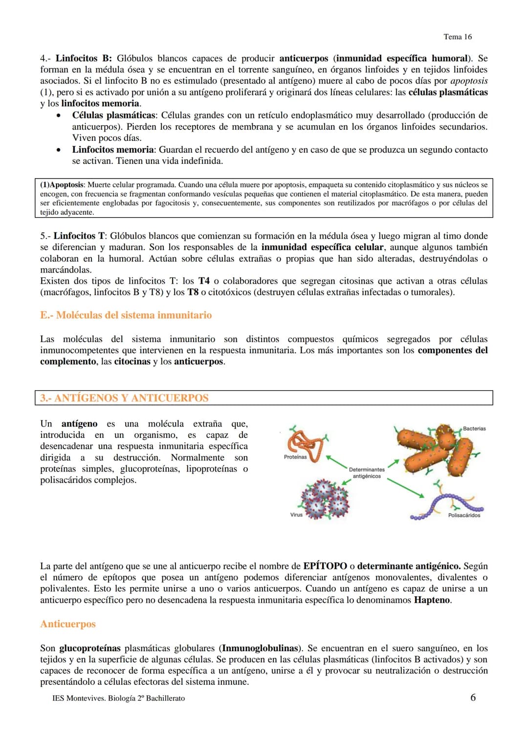 TEMA 16 INMUNOLOGÍA
1.- LA DEFENSA DEL ORGANISMO
Los seres vivos poseen diferentes mecanismos para defenderse de las infecciones con varias 