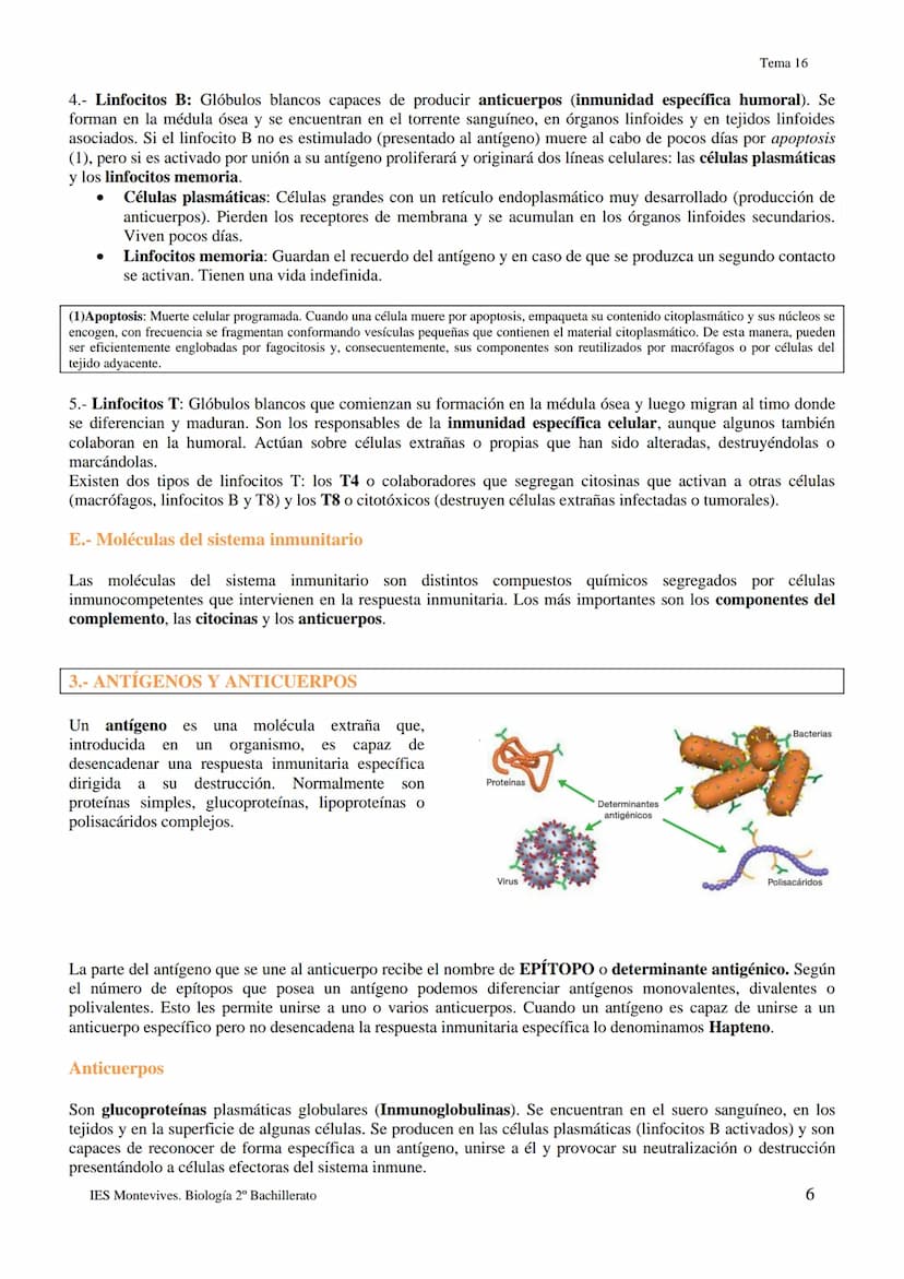 TEMA 16 INMUNOLOGÍA
1.- LA DEFENSA DEL ORGANISMO
Los seres vivos poseen diferentes mecanismos para defenderse de las infecciones con varias 
