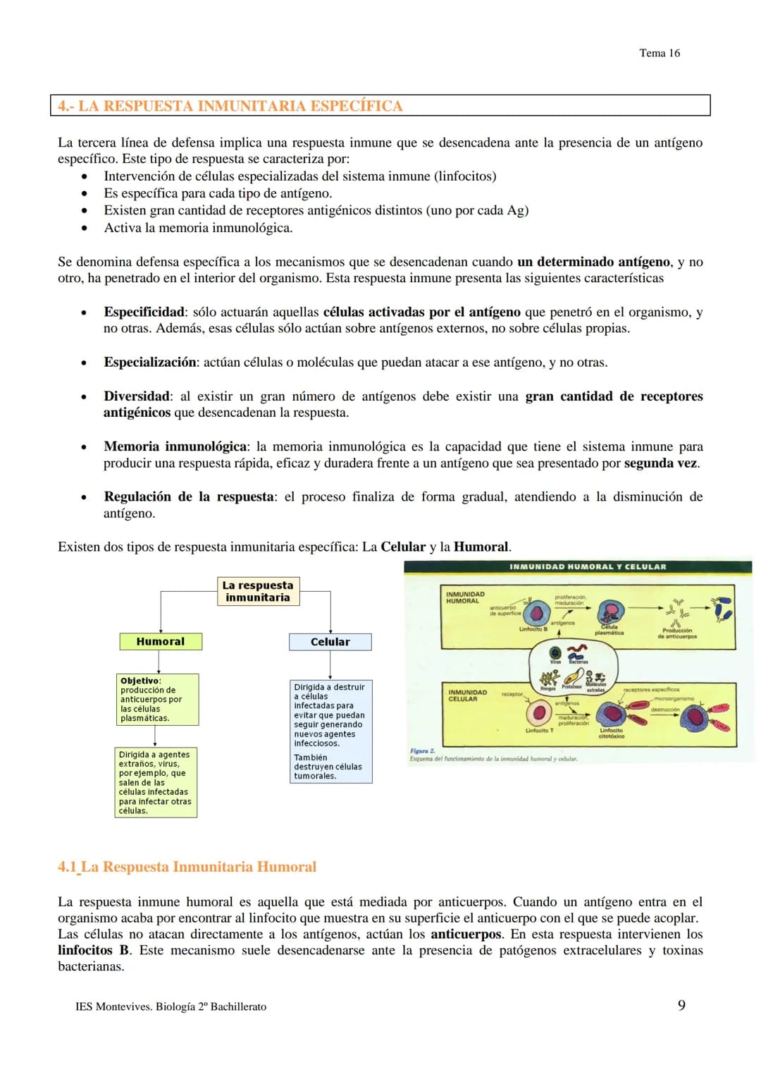 TEMA 16 INMUNOLOGÍA
1.- LA DEFENSA DEL ORGANISMO
Los seres vivos poseen diferentes mecanismos para defenderse de las infecciones con varias 