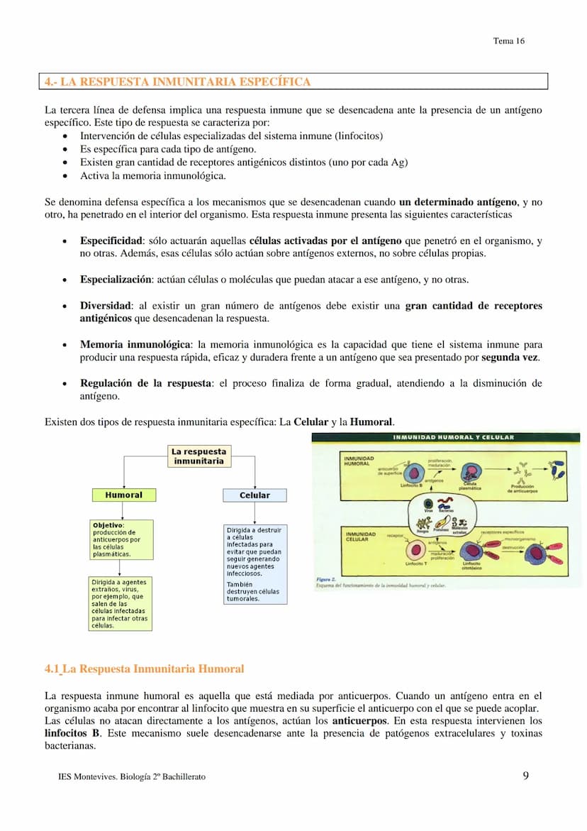 TEMA 16 INMUNOLOGÍA
1.- LA DEFENSA DEL ORGANISMO
Los seres vivos poseen diferentes mecanismos para defenderse de las infecciones con varias 