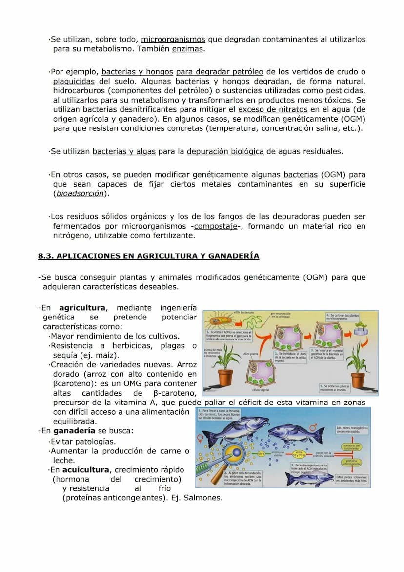 MICROBIOLOGÍA. BIOTECNOLOGÍA.
-MICROBIOLOGÍA-
-Un microorganismo es un ser vivo solo observable al microscopio. Es un concepto sin
implicaci