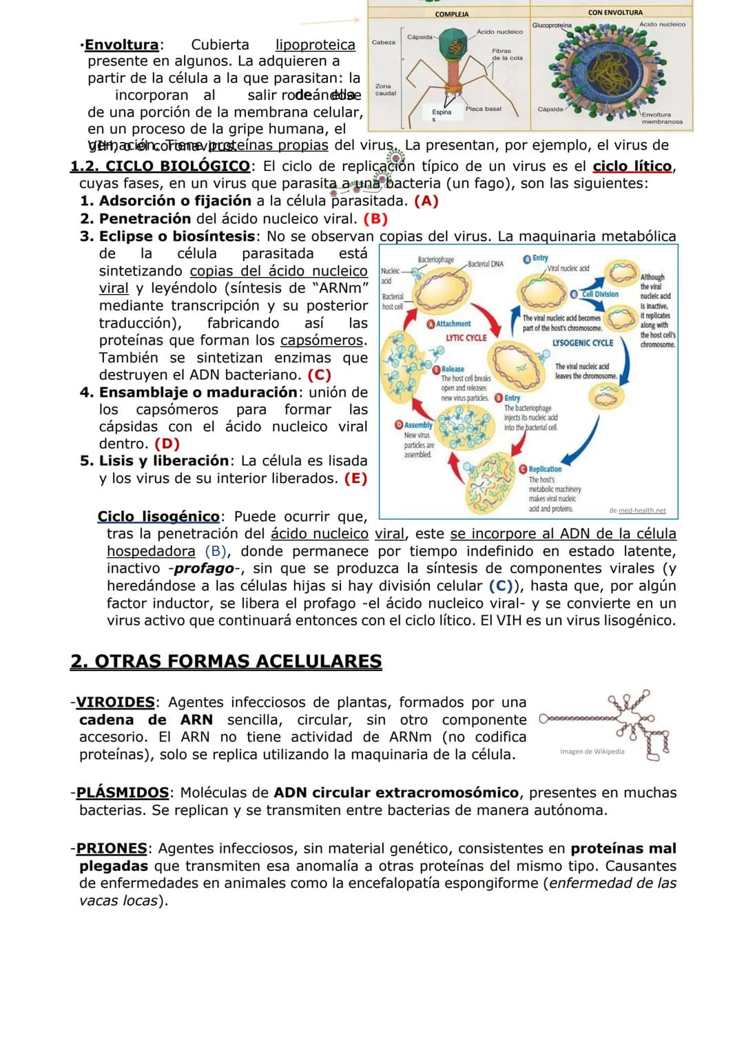 MICROBIOLOGÍA. BIOTECNOLOGÍA.
-MICROBIOLOGÍA-
-Un microorganismo es un ser vivo solo observable al microscopio. Es un concepto sin
implicaci
