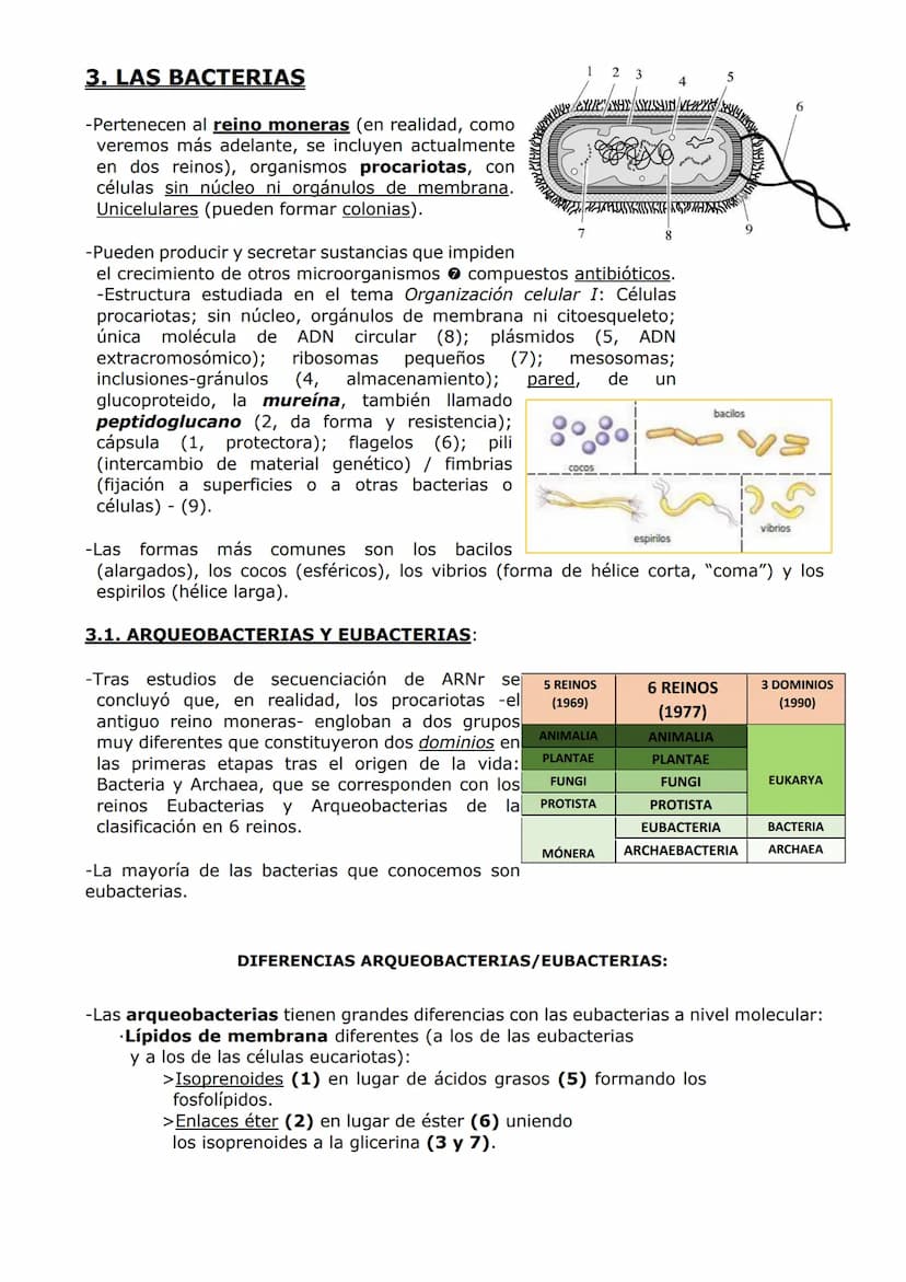 MICROBIOLOGÍA. BIOTECNOLOGÍA.
-MICROBIOLOGÍA-
-Un microorganismo es un ser vivo solo observable al microscopio. Es un concepto sin
implicaci