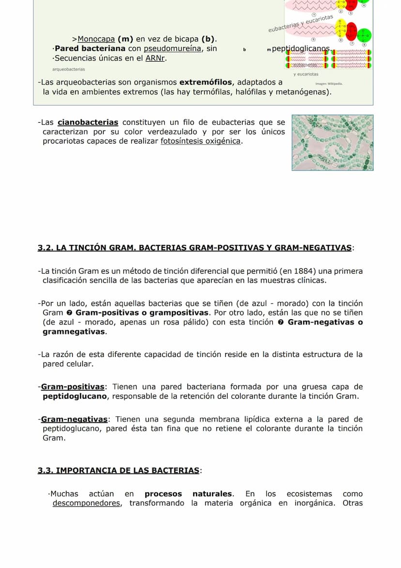 MICROBIOLOGÍA. BIOTECNOLOGÍA.
-MICROBIOLOGÍA-
-Un microorganismo es un ser vivo solo observable al microscopio. Es un concepto sin
implicaci