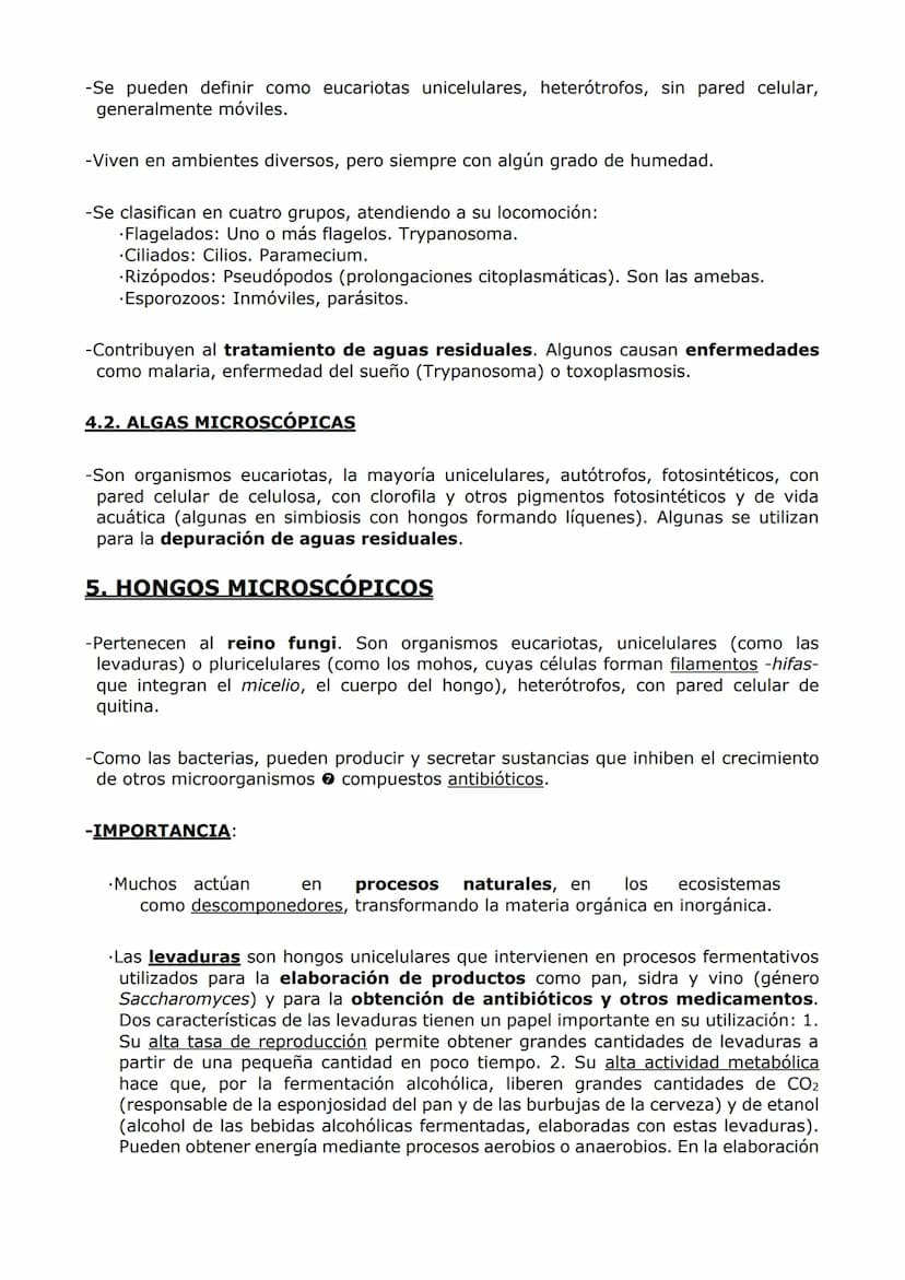 MICROBIOLOGÍA. BIOTECNOLOGÍA.
-MICROBIOLOGÍA-
-Un microorganismo es un ser vivo solo observable al microscopio. Es un concepto sin
implicaci