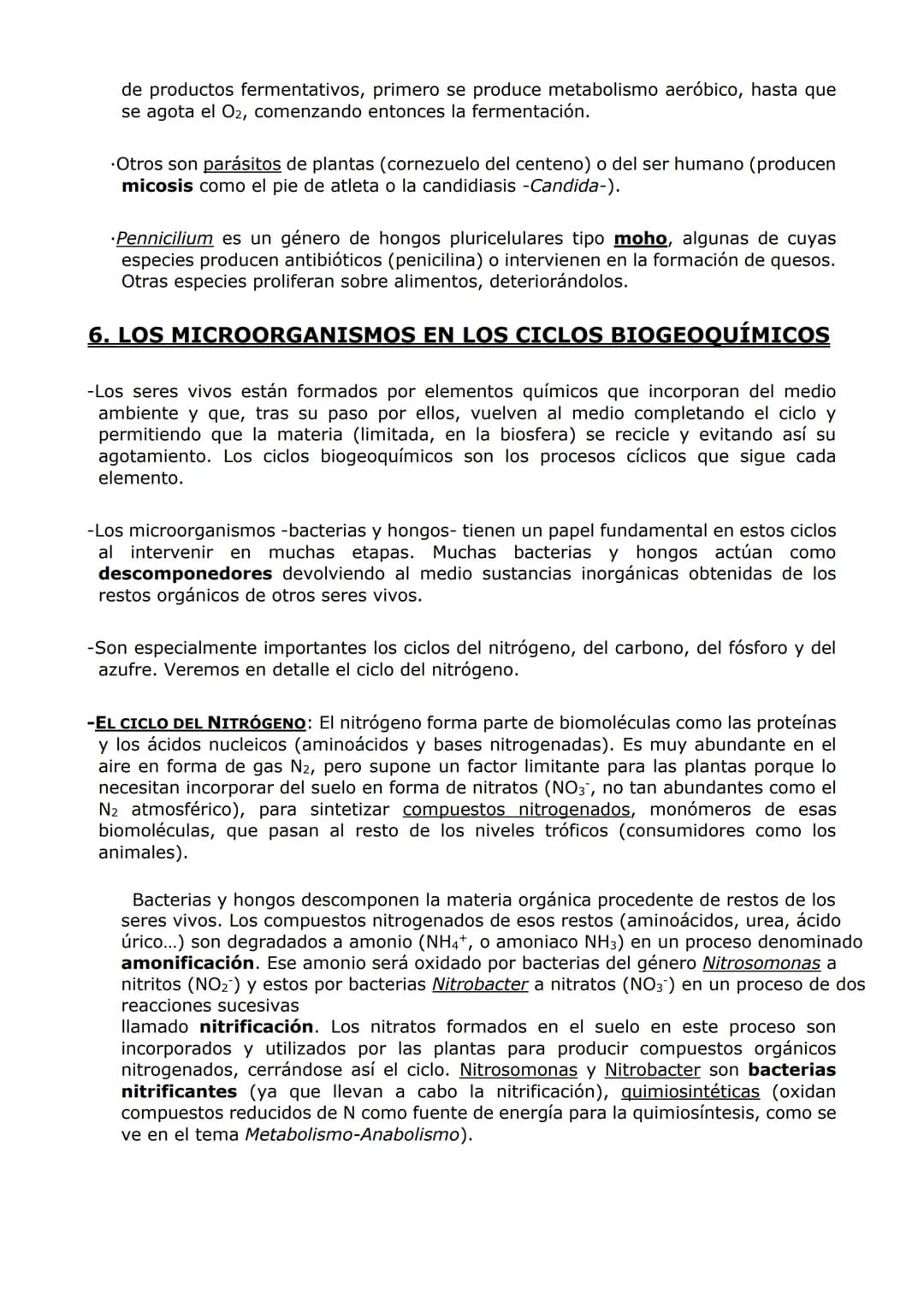 MICROBIOLOGÍA. BIOTECNOLOGÍA.
-MICROBIOLOGÍA-
-Un microorganismo es un ser vivo solo observable al microscopio. Es un concepto sin
implicaci
