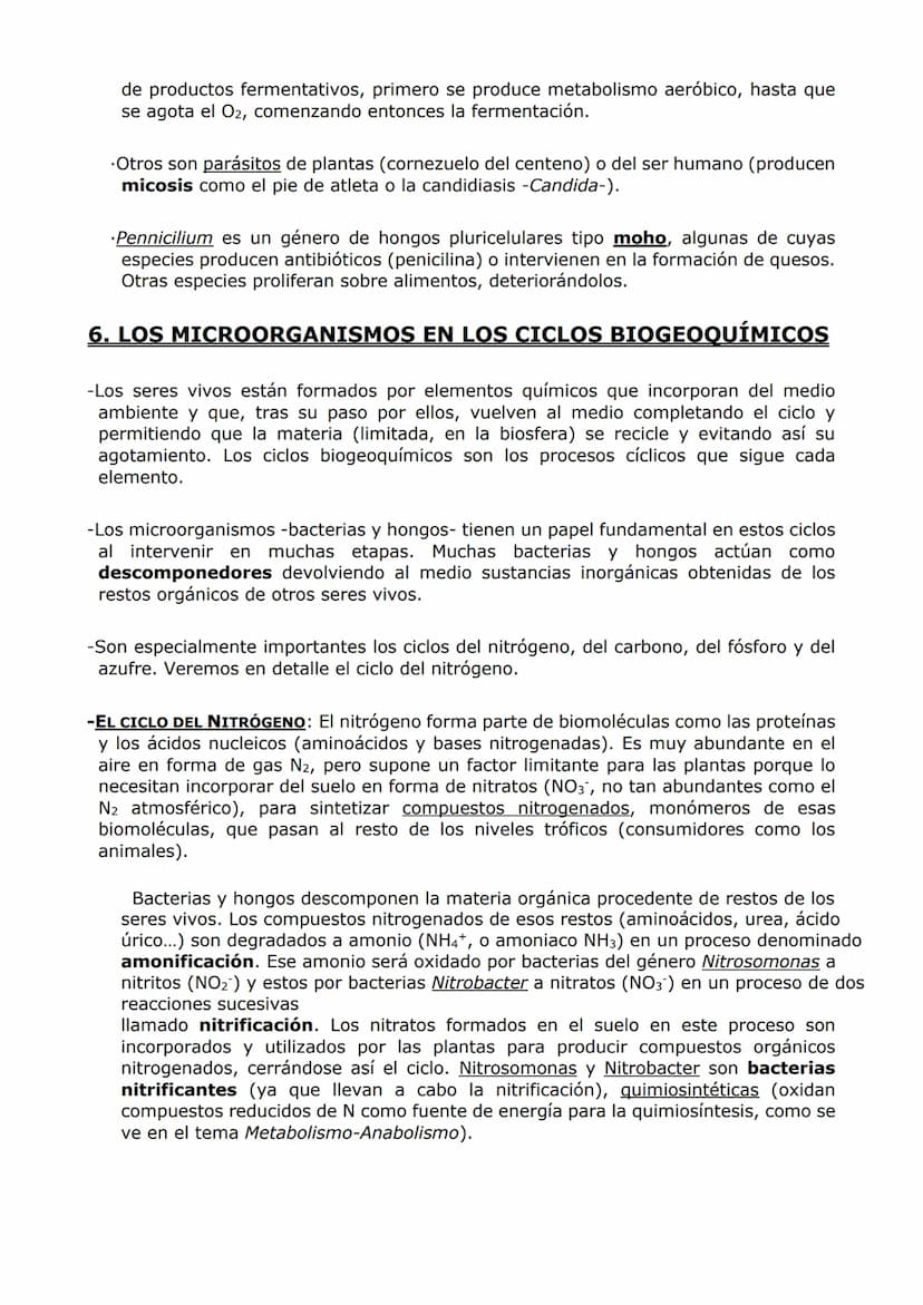 MICROBIOLOGÍA. BIOTECNOLOGÍA.
-MICROBIOLOGÍA-
-Un microorganismo es un ser vivo solo observable al microscopio. Es un concepto sin
implicaci