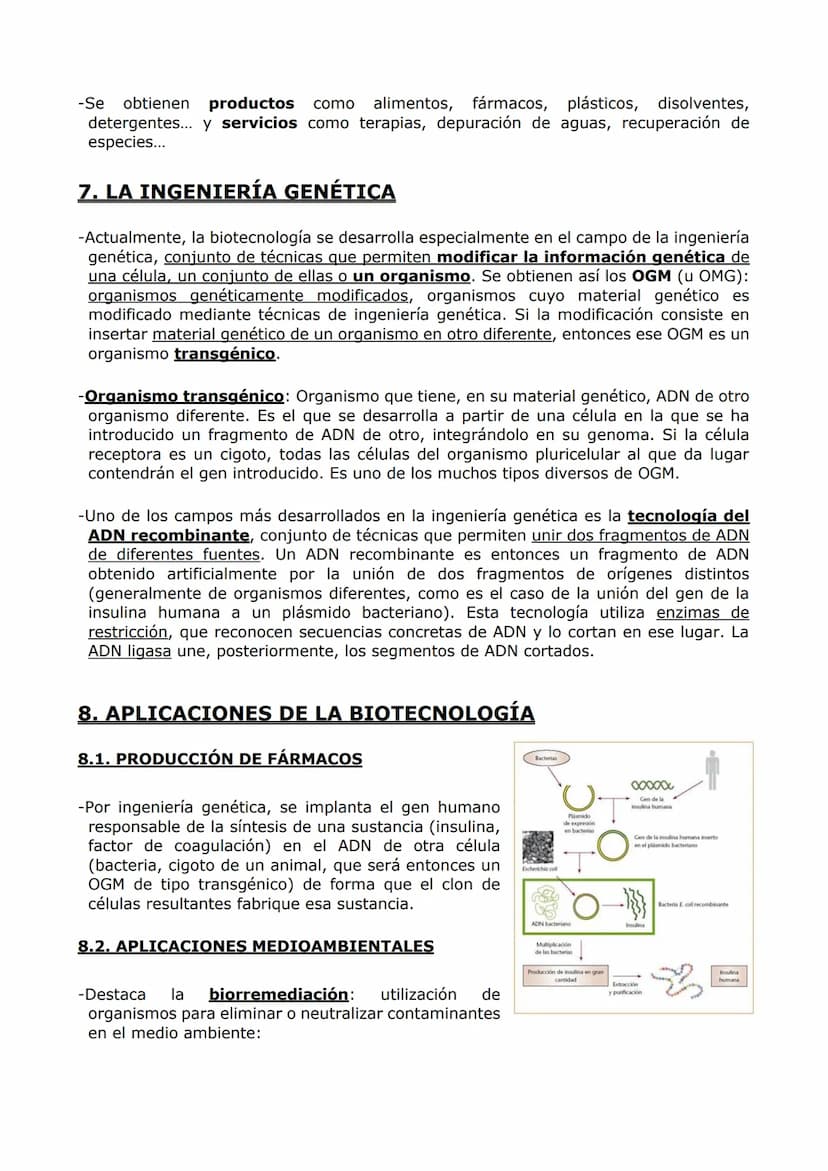 MICROBIOLOGÍA. BIOTECNOLOGÍA.
-MICROBIOLOGÍA-
-Un microorganismo es un ser vivo solo observable al microscopio. Es un concepto sin
implicaci
