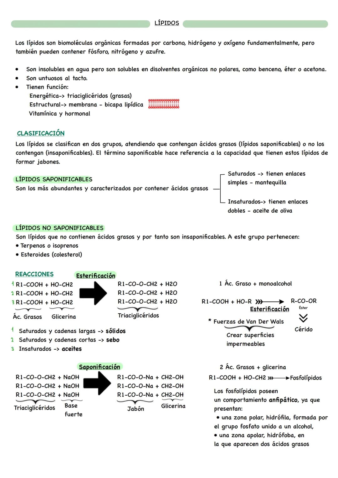D
BIOLOGÍA BIOQUÍMICA
La bioquímica es la ciencia que estudia la composición química de los seres vivos y las
reacciones que ocurren en ello