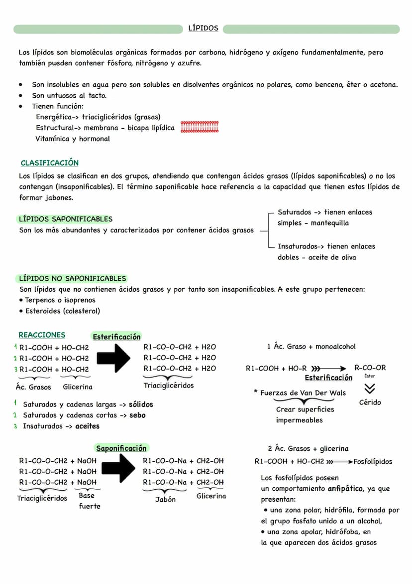 D
BIOLOGÍA BIOQUÍMICA
La bioquímica es la ciencia que estudia la composición química de los seres vivos y las
reacciones que ocurren en ello