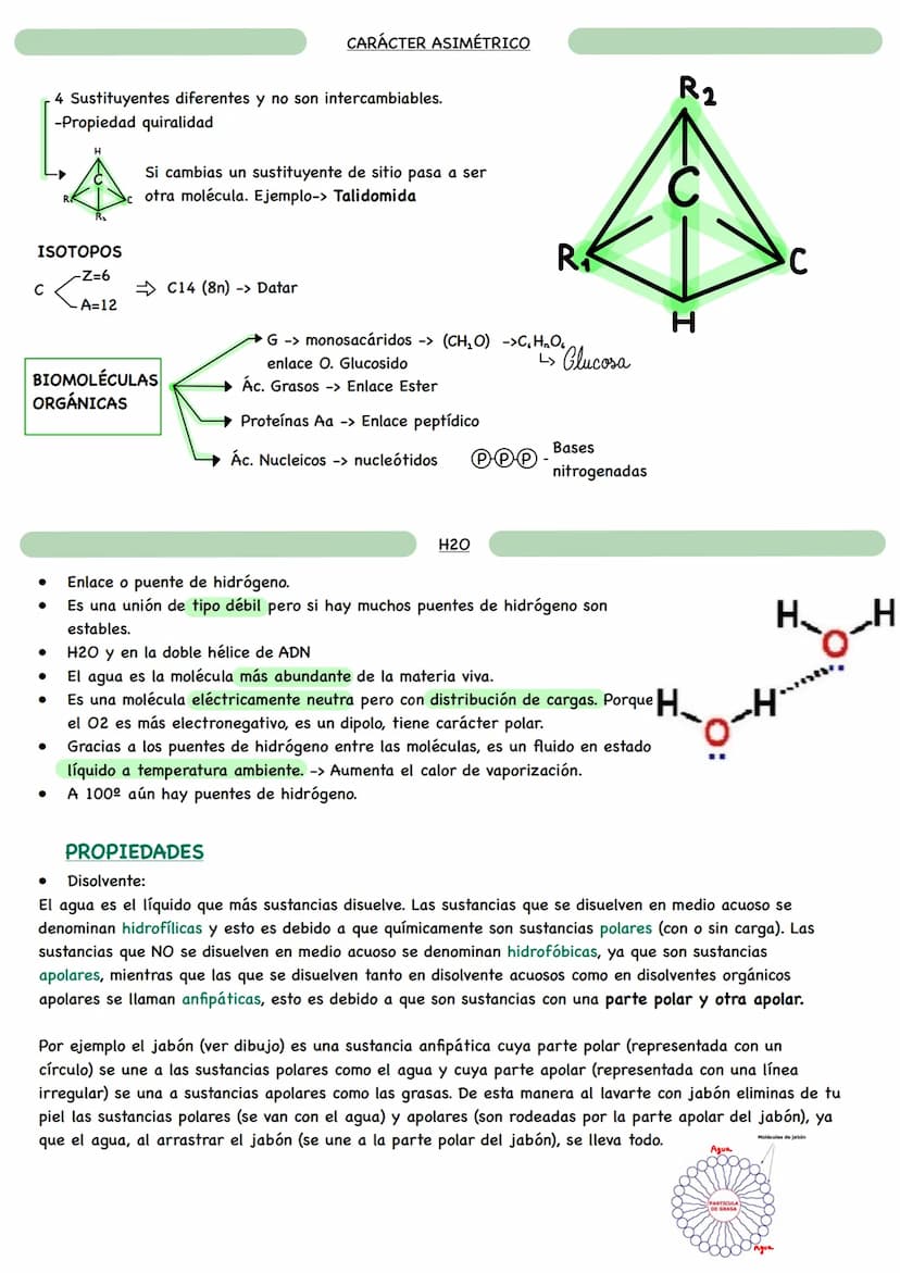 D
BIOLOGÍA BIOQUÍMICA
La bioquímica es la ciencia que estudia la composición química de los seres vivos y las
reacciones que ocurren en ello