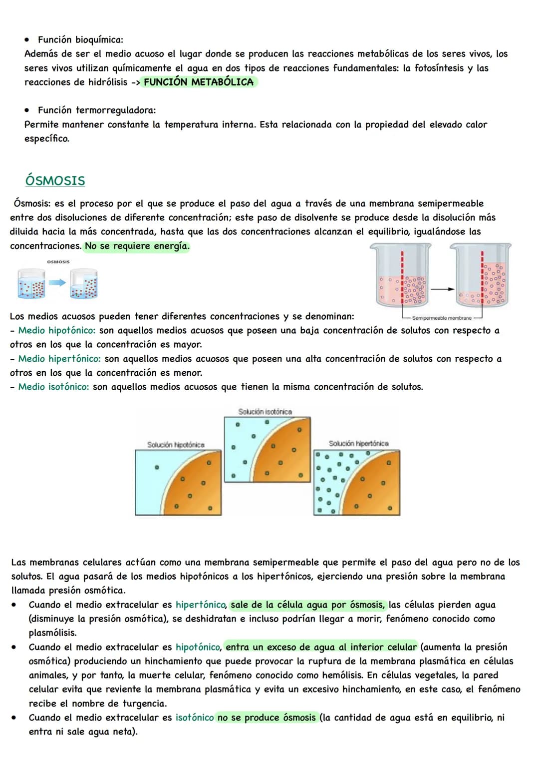 D
BIOLOGÍA BIOQUÍMICA
La bioquímica es la ciencia que estudia la composición química de los seres vivos y las
reacciones que ocurren en ello