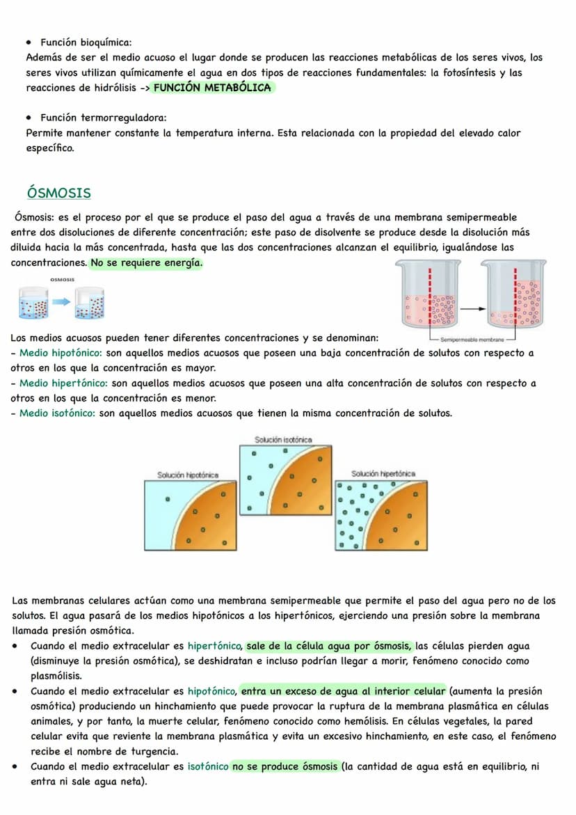 D
BIOLOGÍA BIOQUÍMICA
La bioquímica es la ciencia que estudia la composición química de los seres vivos y las
reacciones que ocurren en ello