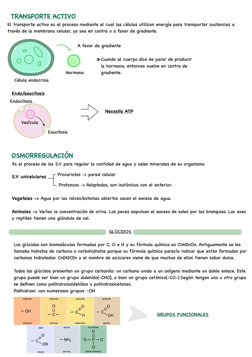 D
BIOLOGÍA BIOQUÍMICA
La bioquímica es la ciencia que estudia la composición química de los seres vivos y las
reacciones que ocurren en ello