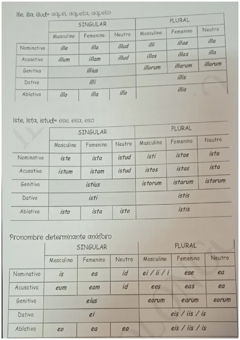 
<p>Los pronombres personales en latín se utilizan para hacer referencia a personas, objetos o cosas de forma directa. Los pronombres person