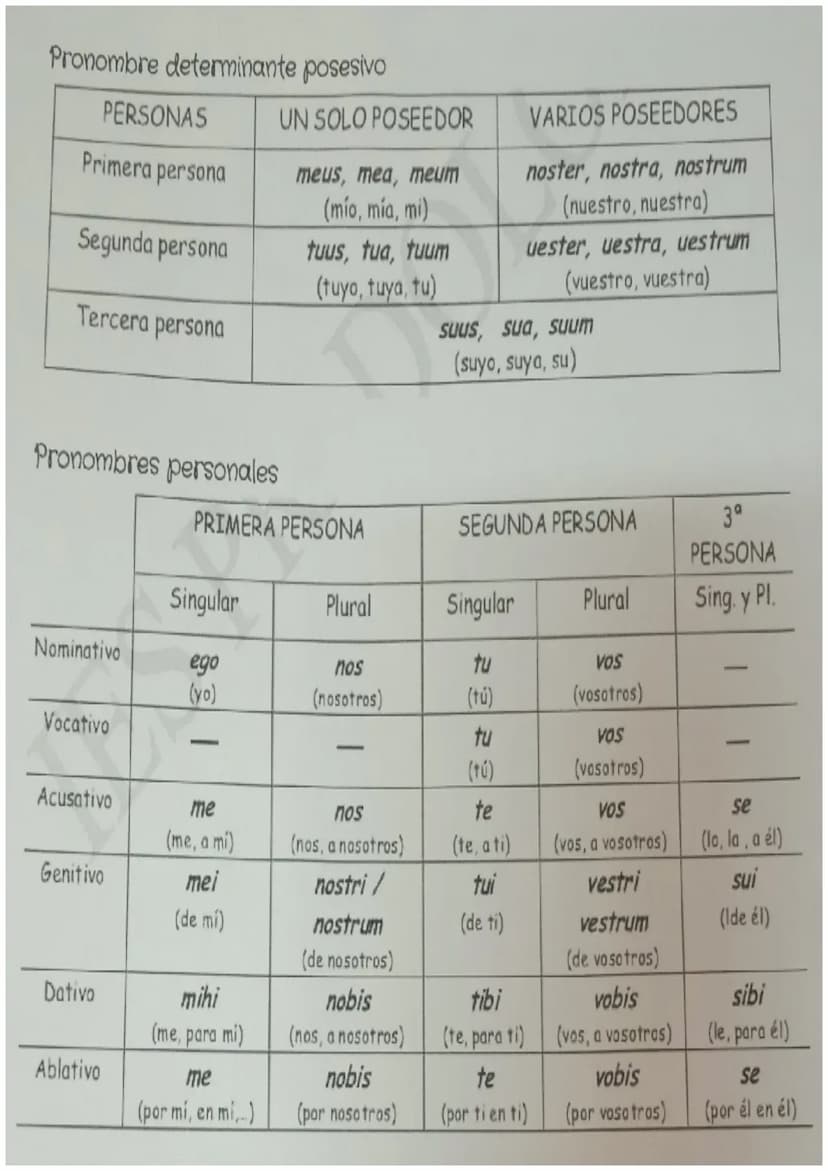 
<p>Los pronombres personales en latín se utilizan para hacer referencia a personas, objetos o cosas de forma directa. Los pronombres person
