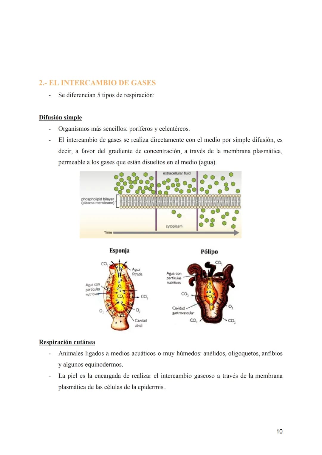 T-8: Aparatos digestivo y respiratorio
Nutrición →incorporación y transformación de materia y energía de los organismos para que
puedan llev
