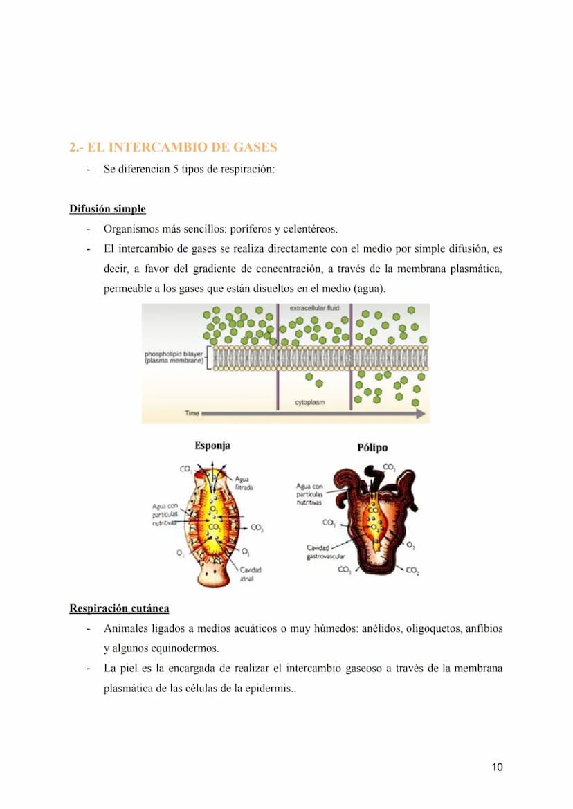 T-8: Aparatos digestivo y respiratorio
Nutrición →incorporación y transformación de materia y energía de los organismos para que
puedan llev