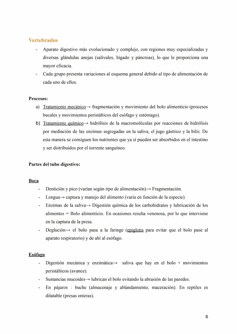 T-8: Aparatos digestivo y respiratorio
Nutrición →incorporación y transformación de materia y energía de los organismos para que
puedan llev