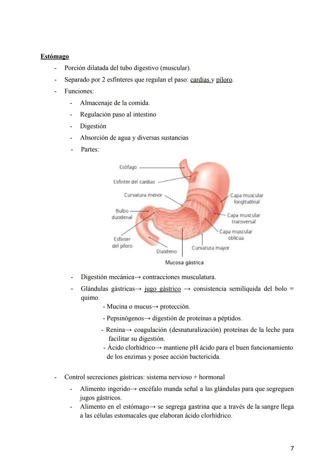 T-8: Aparatos digestivo y respiratorio
Nutrición →incorporación y transformación de materia y energía de los organismos para que
puedan llev