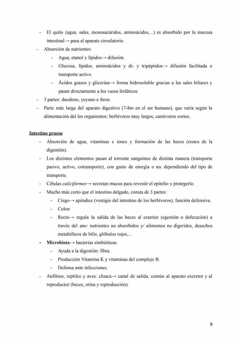 T-8: Aparatos digestivo y respiratorio
Nutrición →incorporación y transformación de materia y energía de los organismos para que
puedan llev
