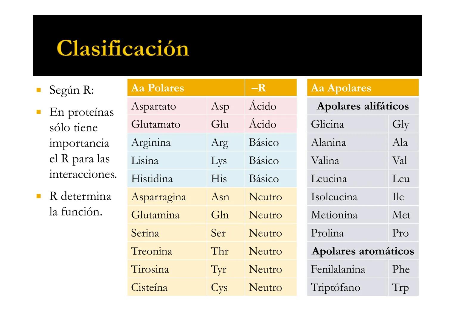 SUI
T4 AMINOÁCIDOS
Forman las proteínas
Bioquímica-I
Grado en Medicina
UNIVERSIDAD
ALFONSO X EL SABIO
Profs. Ana Martínez García
Isabel Olaz