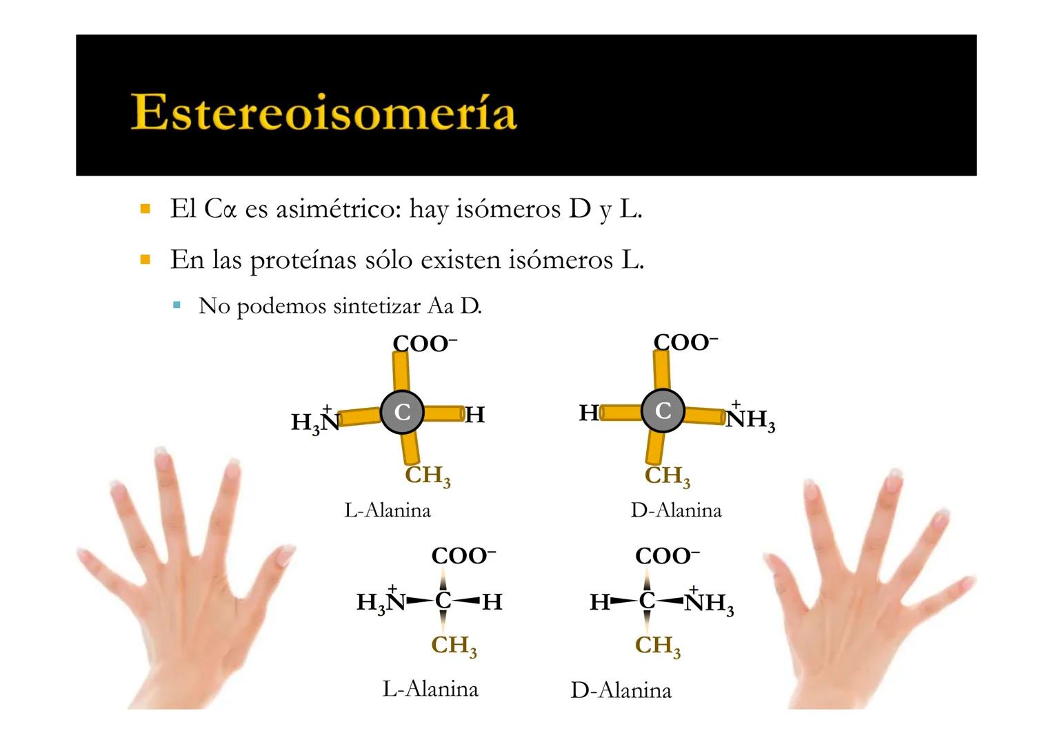 SUI
T4 AMINOÁCIDOS
Forman las proteínas
Bioquímica-I
Grado en Medicina
UNIVERSIDAD
ALFONSO X EL SABIO
Profs. Ana Martínez García
Isabel Olaz