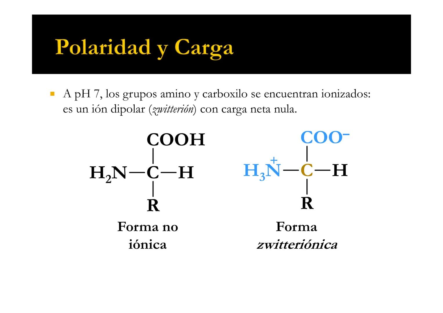SUI
T4 AMINOÁCIDOS
Forman las proteínas
Bioquímica-I
Grado en Medicina
UNIVERSIDAD
ALFONSO X EL SABIO
Profs. Ana Martínez García
Isabel Olaz