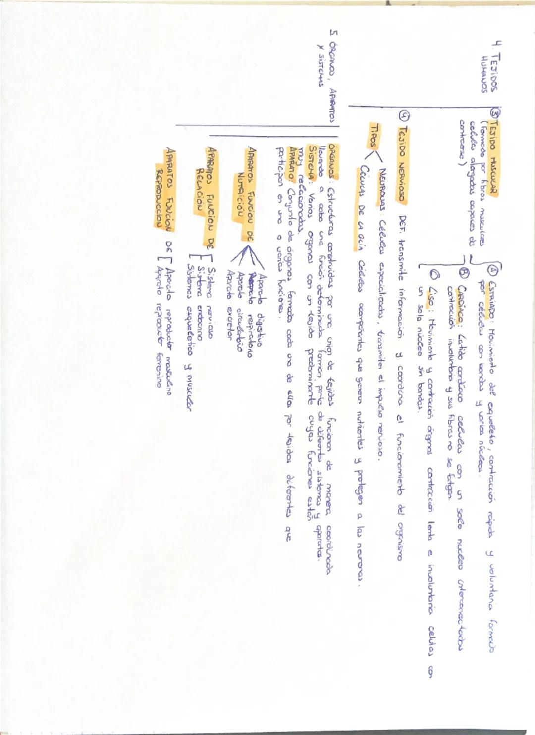 # 1. NIVECES DE ORGANIZACIÓN DE LA MATERIA VIVA

protones
NIVEL SUBATÓMICO neutrones
electrones

NIVEL ATÓMICO - BioELEMENTOS (elenerlos quí