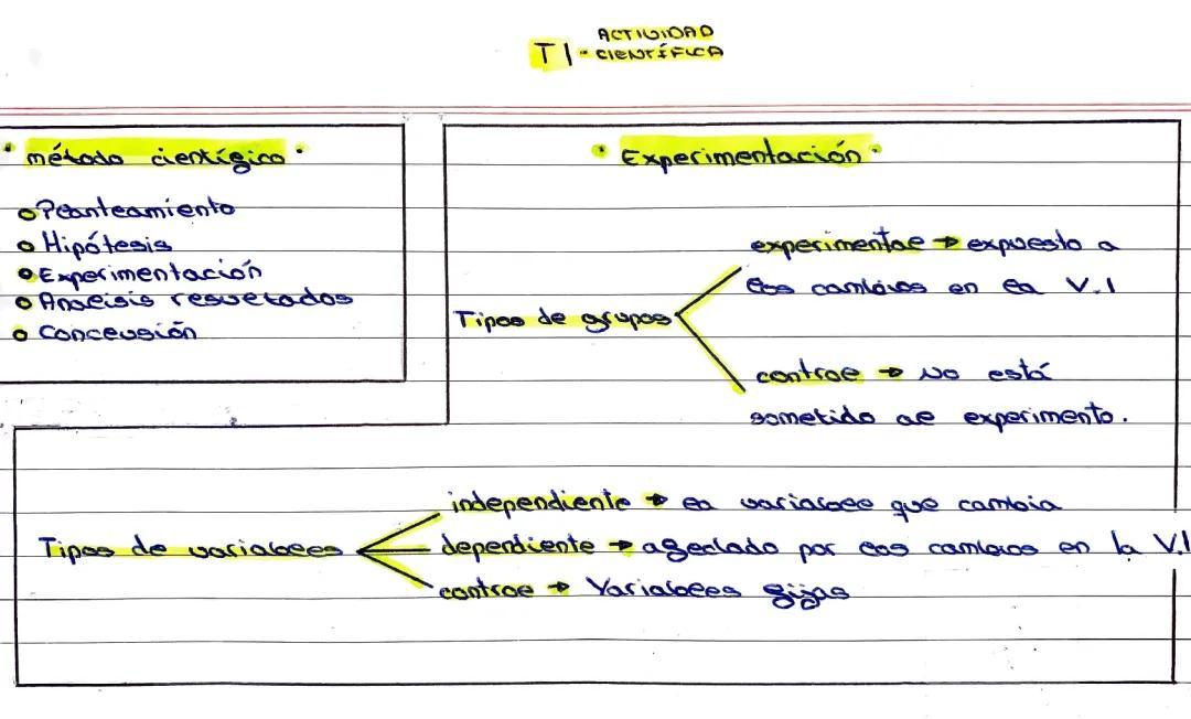 Actividad cientifica