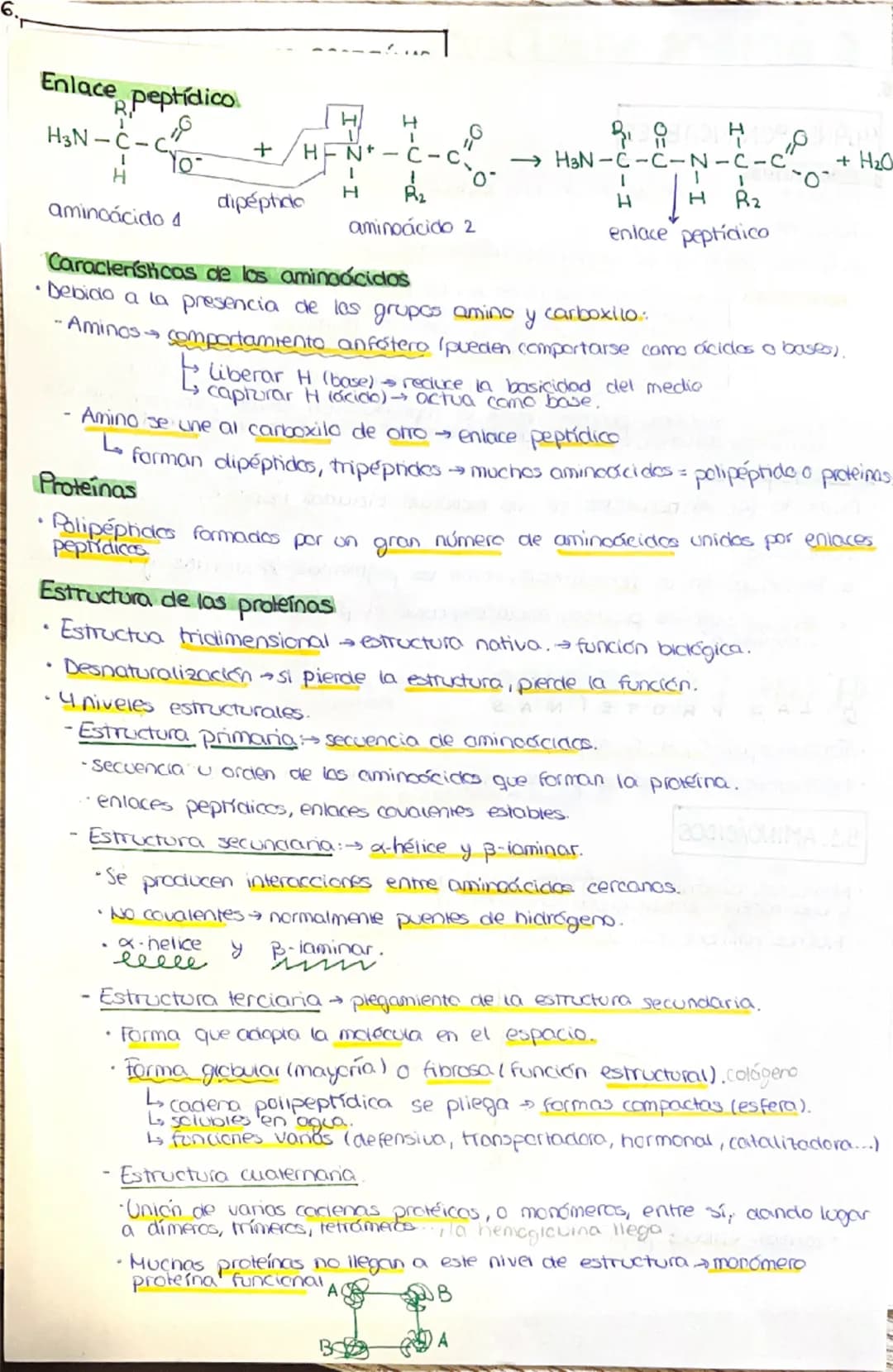 --- OCR Start ---
1. LA COMPOSICIÓN DE LA MATERIA VIVA
1.1. CARACTERÍSTICAS QUE DEFINEN A LOS SERES VIVOS
1. Una composición química similar