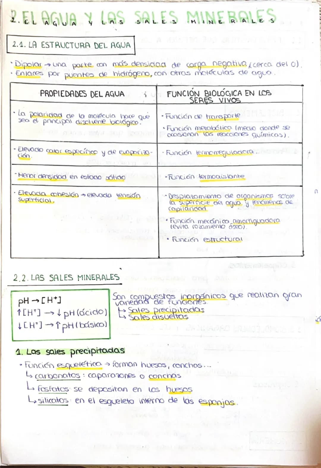 --- OCR Start ---
1. LA COMPOSICIÓN DE LA MATERIA VIVA
1.1. CARACTERÍSTICAS QUE DEFINEN A LOS SERES VIVOS
1. Una composición química similar