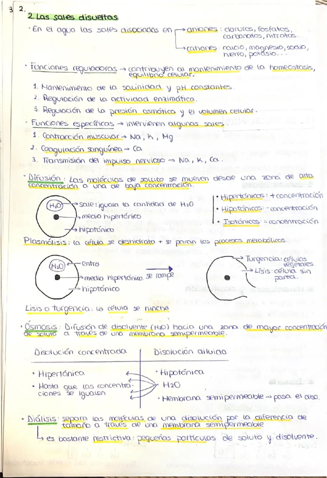 --- OCR Start ---
1. LA COMPOSICIÓN DE LA MATERIA VIVA
1.1. CARACTERÍSTICAS QUE DEFINEN A LOS SERES VIVOS
1. Una composición química similar