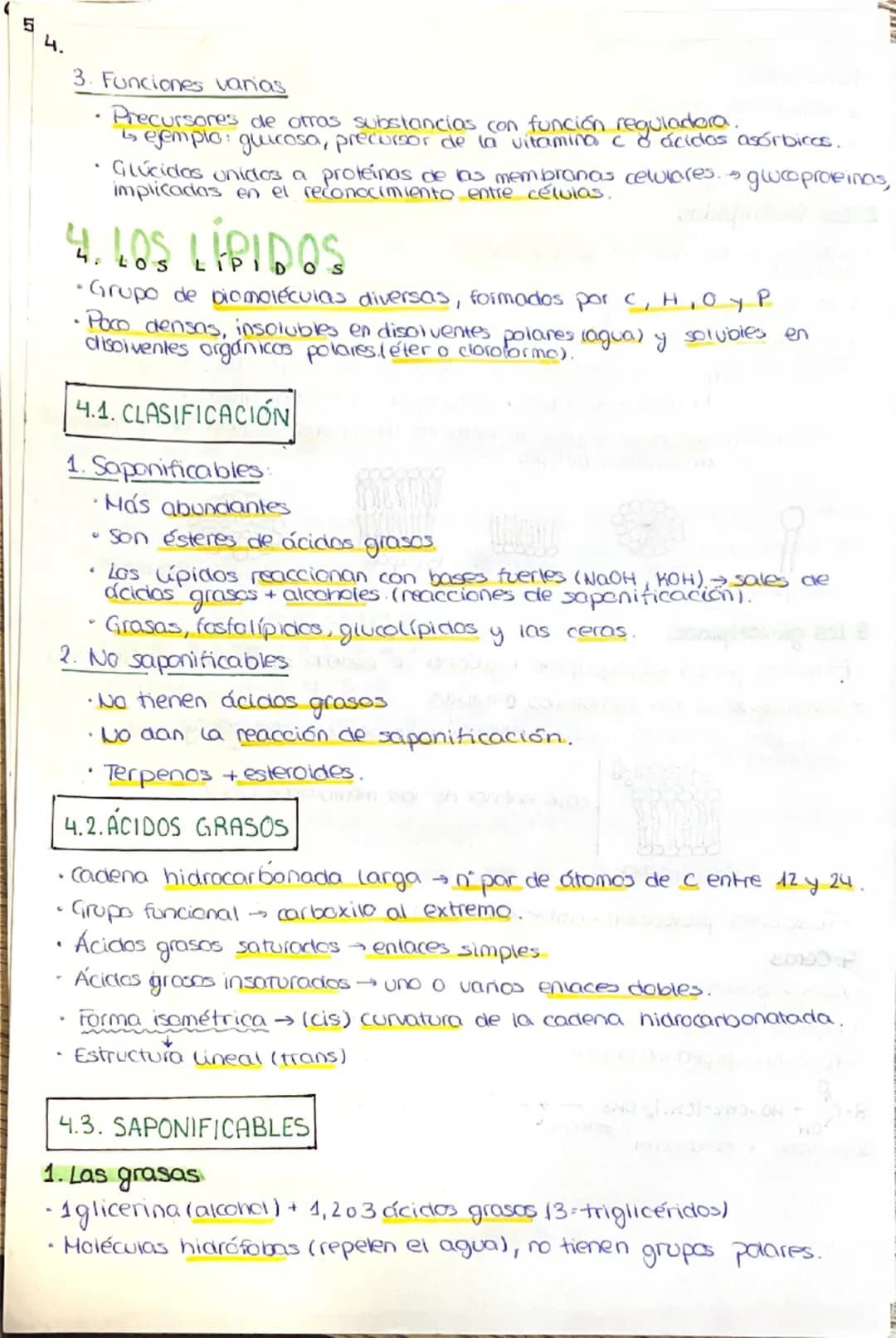 --- OCR Start ---
1. LA COMPOSICIÓN DE LA MATERIA VIVA
1.1. CARACTERÍSTICAS QUE DEFINEN A LOS SERES VIVOS
1. Una composición química similar