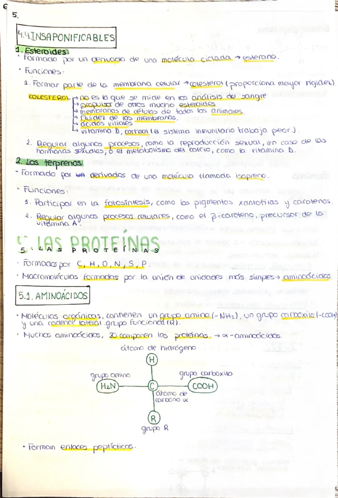 --- OCR Start ---
1. LA COMPOSICIÓN DE LA MATERIA VIVA
1.1. CARACTERÍSTICAS QUE DEFINEN A LOS SERES VIVOS
1. Una composición química similar