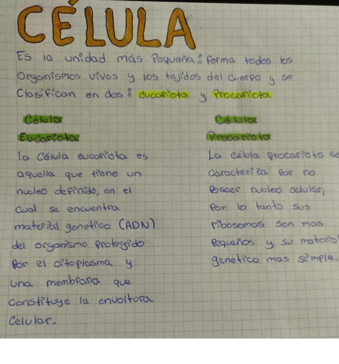 Células 