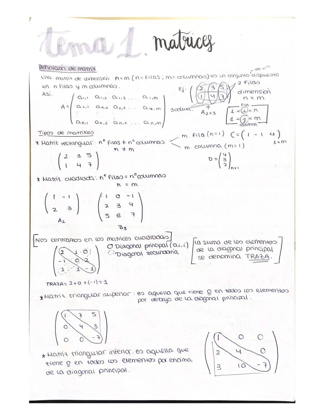 Aprende sobre Matrices: Propiedades, Tipos Triangulares y Más