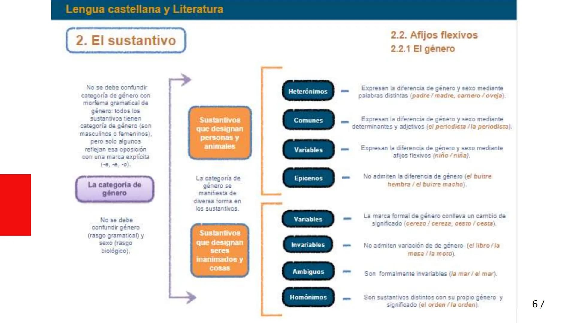 Lengua castellana y Literatura
Unidad 1
El sustantivo y el adjetivo
Reflexión sobre la lengua
1. Las clases de palabras
2. El sustantivo
3. 