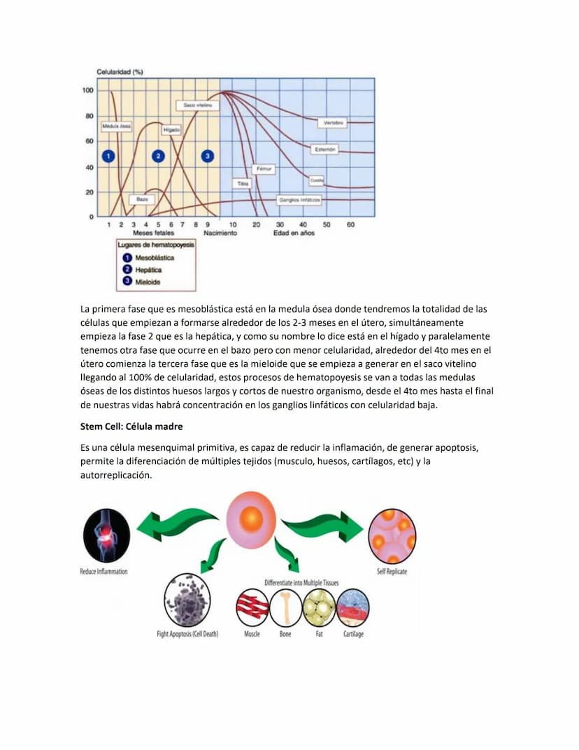 Hematología
Estudio de la Sangre, de los órganos que la producen y de las enfermedades asociadas
Componentes de la sangre:
●
●
Glóbulos blan