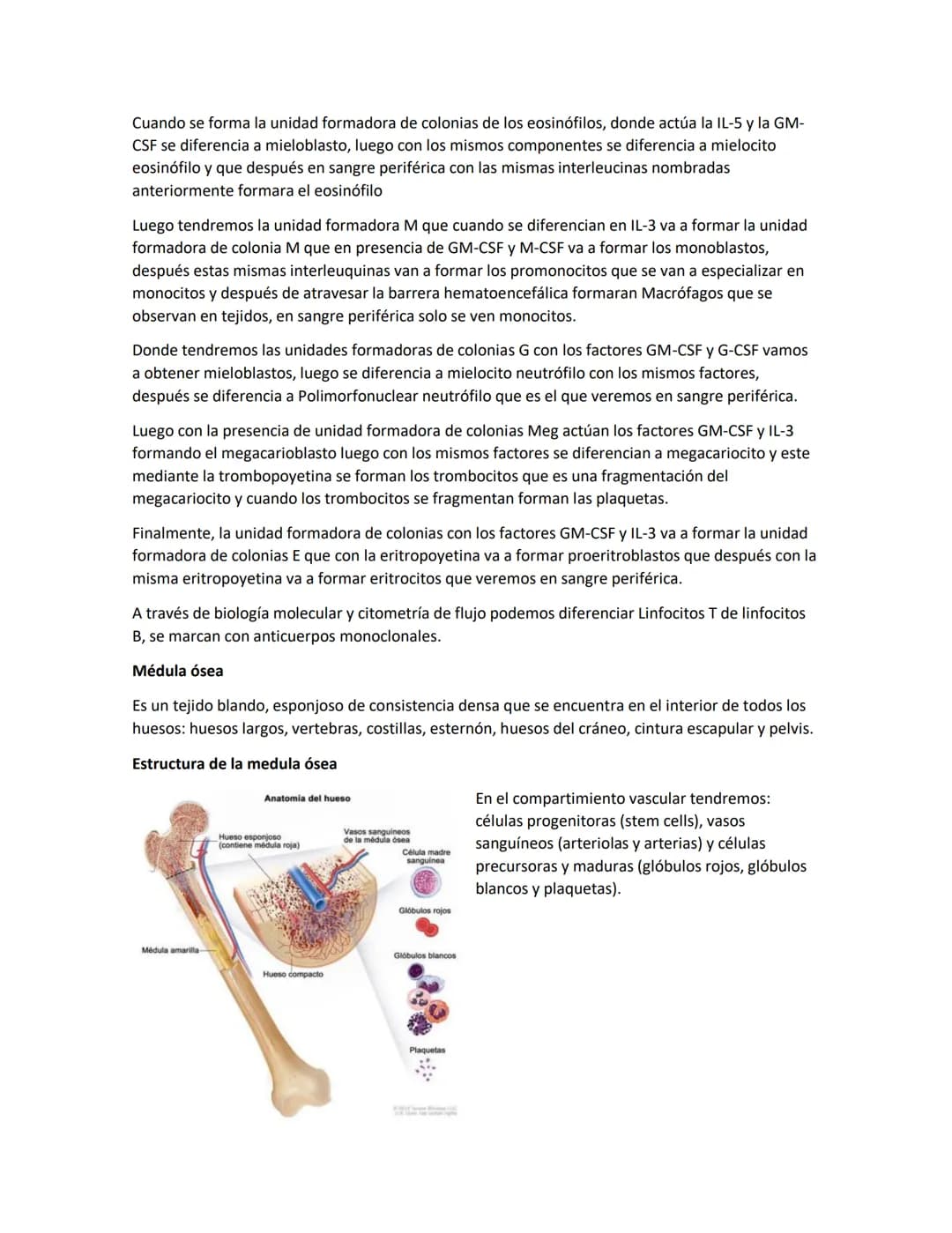 Hematología
Estudio de la Sangre, de los órganos que la producen y de las enfermedades asociadas
Componentes de la sangre:
●
●
Glóbulos blan