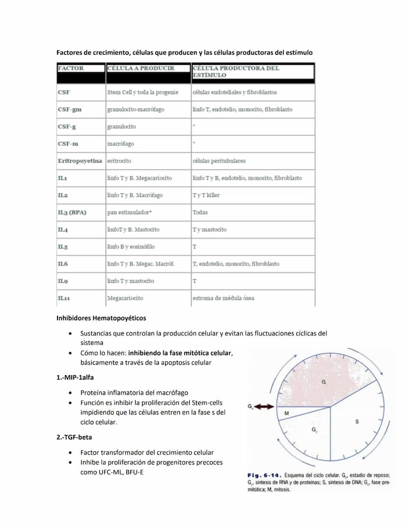 Hematología
Estudio de la Sangre, de los órganos que la producen y de las enfermedades asociadas
Componentes de la sangre:
●
●
Glóbulos blan