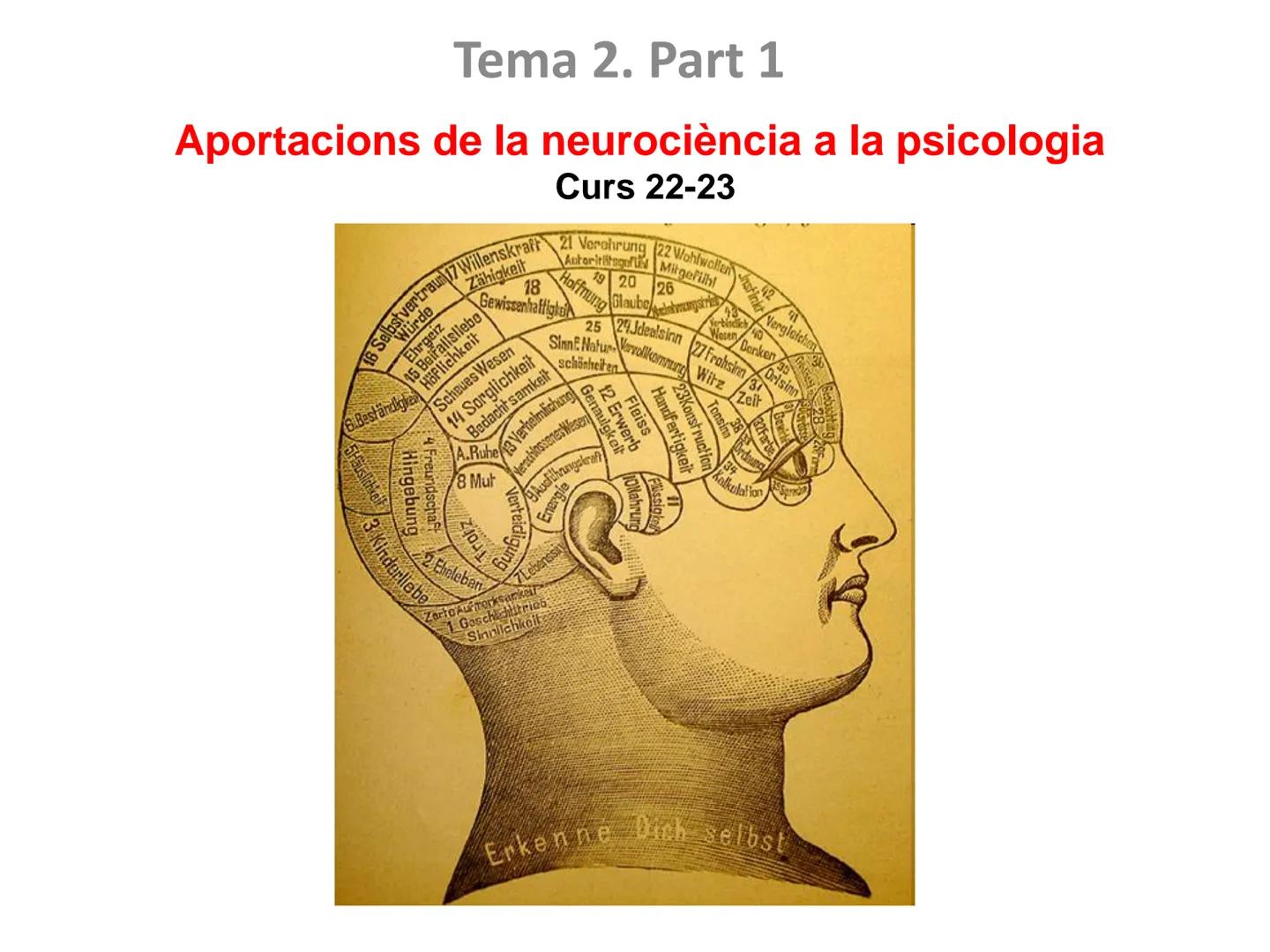 Tema 2. Part 1
Aportacions de la neurociència a la psicologia
Curs 22-23
16 Selbstvertraun 17 Willenskraft 21 Verehrung (22 Wohlwollen 42
Zä