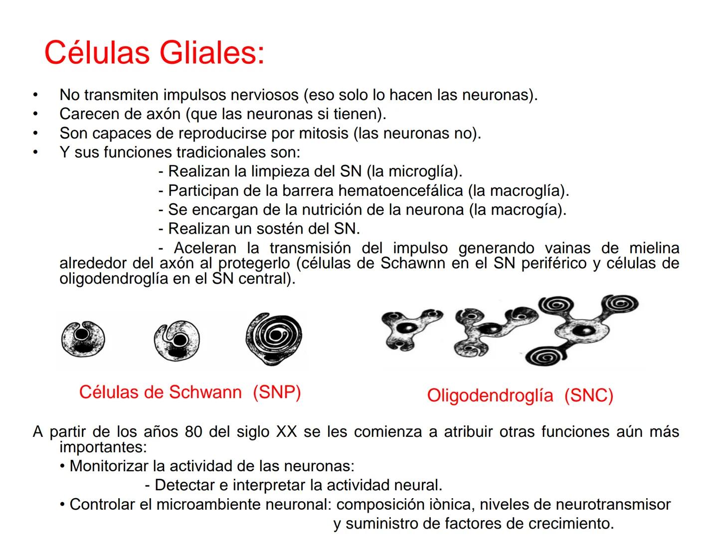 Tema 2. Part 1
Aportacions de la neurociència a la psicologia
Curs 22-23
16 Selbstvertraun 17 Willenskraft 21 Verehrung (22 Wohlwollen 42
Zä