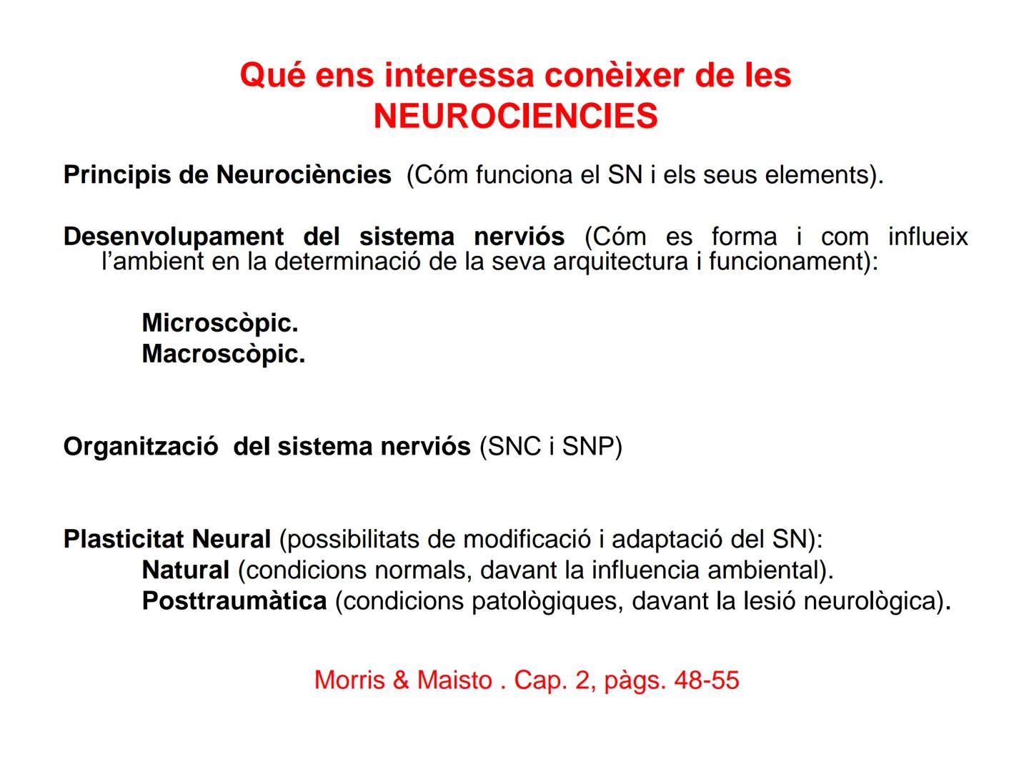 Tema 2. Part 1
Aportacions de la neurociència a la psicologia
Curs 22-23
16 Selbstvertraun 17 Willenskraft 21 Verehrung (22 Wohlwollen 42
Zä