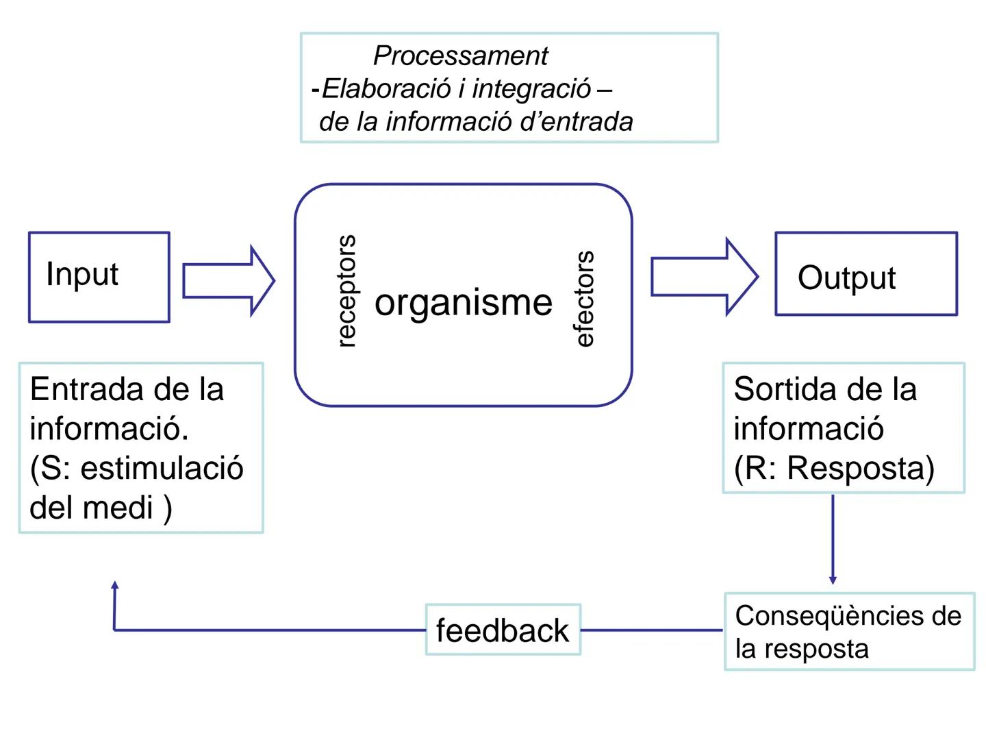 Tema 2. Part 1
Aportacions de la neurociència a la psicologia
Curs 22-23
16 Selbstvertraun 17 Willenskraft 21 Verehrung (22 Wohlwollen 42
Zä