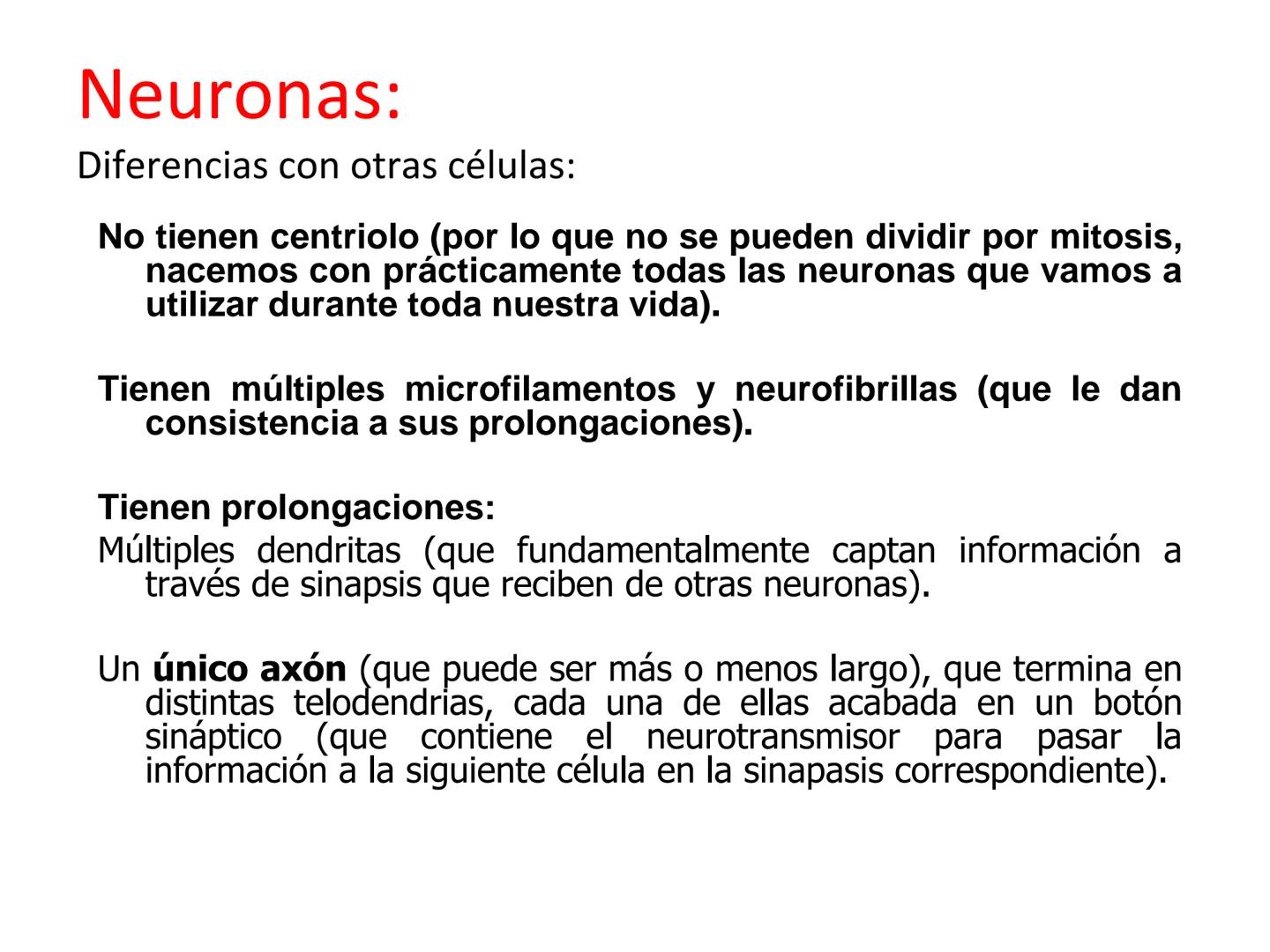 Tema 2. Part 1
Aportacions de la neurociència a la psicologia
Curs 22-23
16 Selbstvertraun 17 Willenskraft 21 Verehrung (22 Wohlwollen 42
Zä